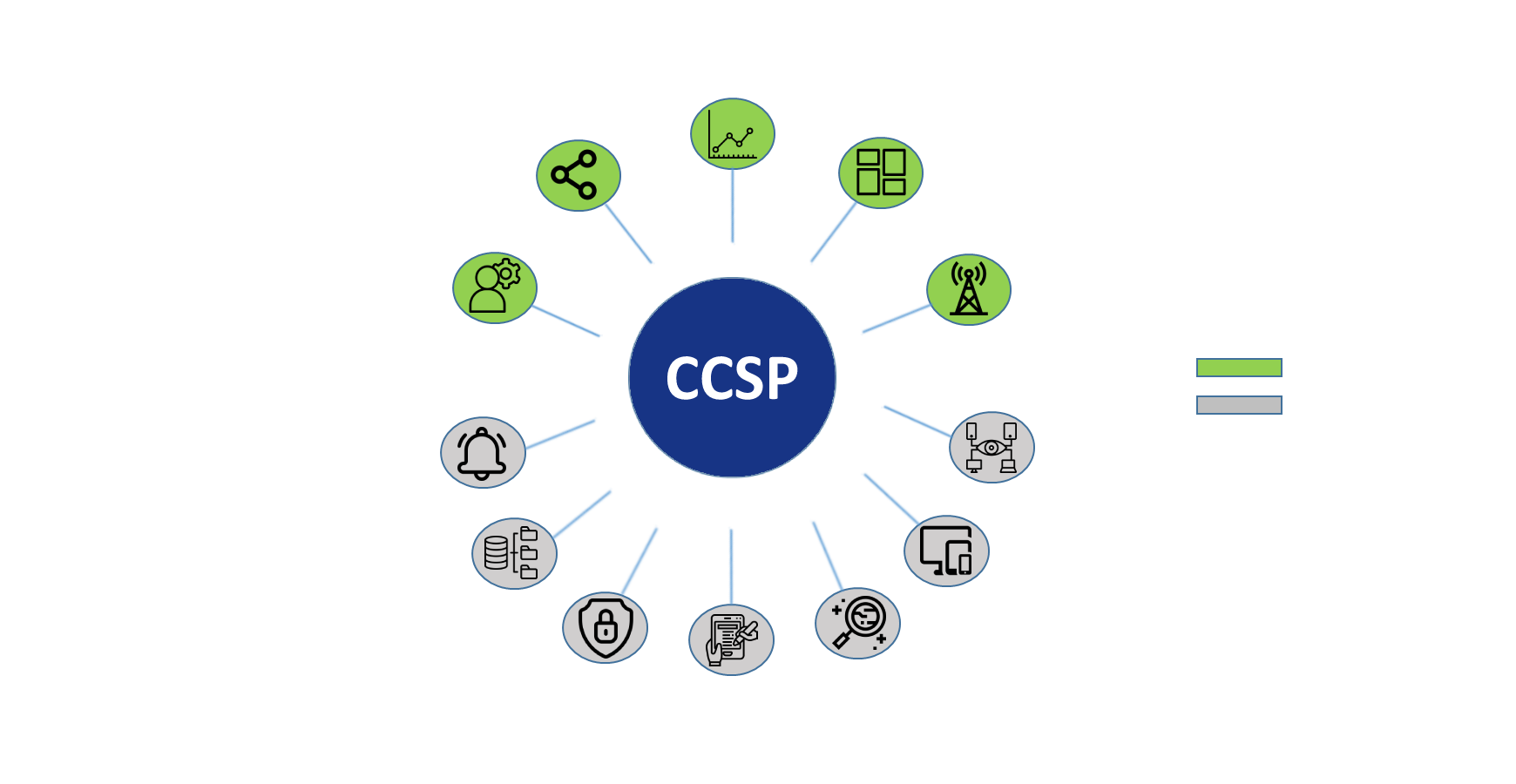 ccsp-web features